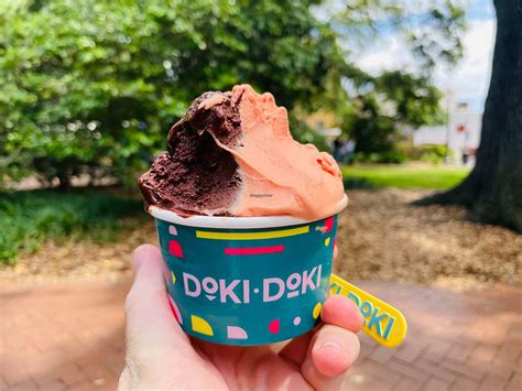 doki doki savannah|doki ice creamery soft serve.